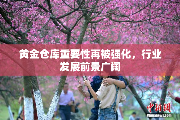 黄金仓库重要性再被强化，行业发展前景广阔