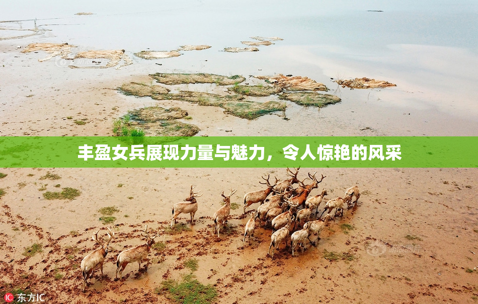 丰盈女兵展现力量与魅力，令人惊艳的风采