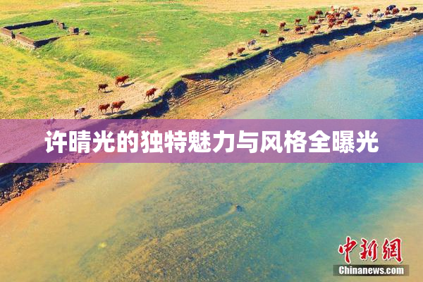 许晴光的独特魅力与风格全曝光