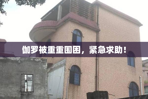 伽罗被重重围困，紧急求助！