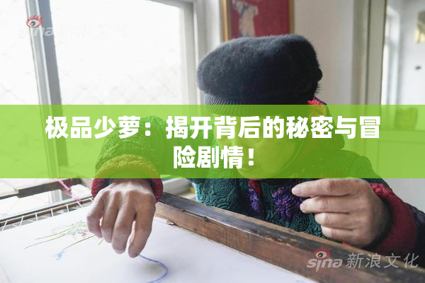 极品少萝：揭开背后的秘密与冒险剧情！