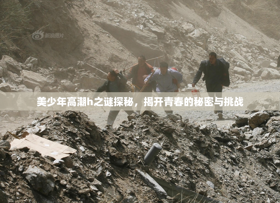 美少年高潮h之谜探秘，揭开青春的秘密与挑战