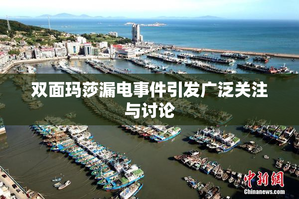 双面玛莎漏电事件引发广泛关注与讨论