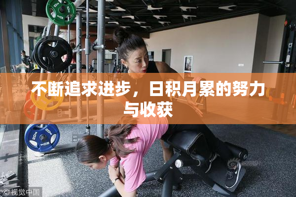 不断追求进步，日积月累的努力与收获