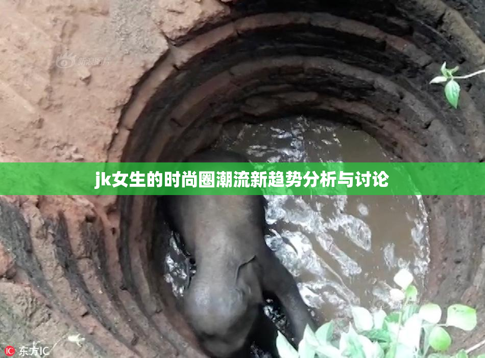 jk女生的时尚圈潮流新趋势分析与讨论