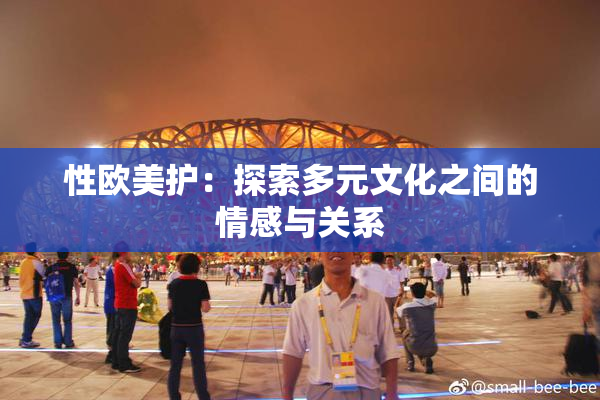 性欧美护：探索多元文化之间的情感与关系