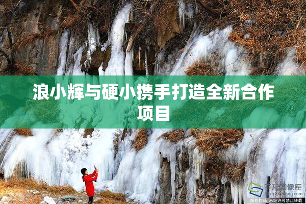 浪小辉与硬小携手打造全新合作项目