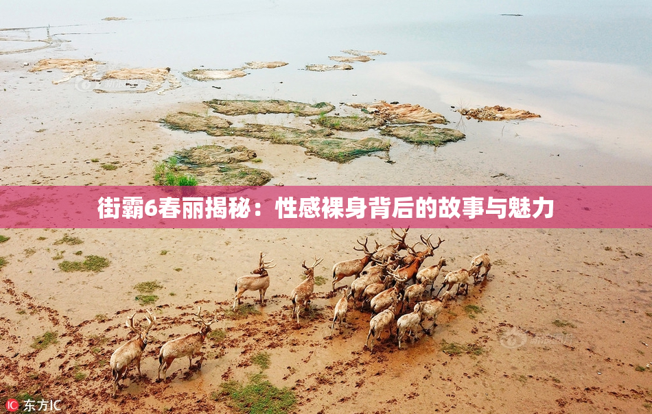 街霸6春丽揭秘：性感裸身背后的故事与魅力