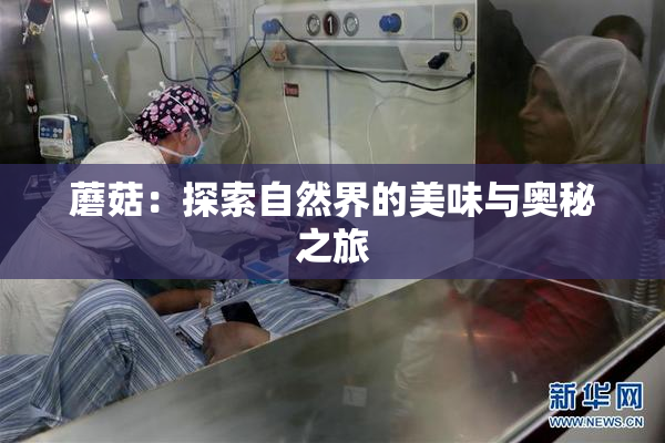蘑菇：探索自然界的美味与奥秘之旅