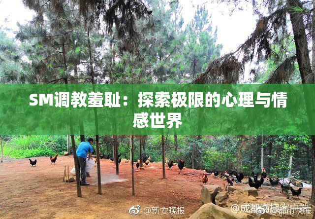 SM调教羞耻：探索极限的心理与情感世界