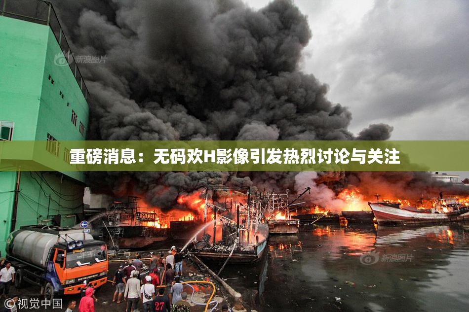重磅消息：无码欢H影像引发热烈讨论与关注