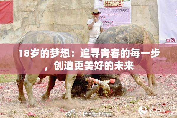 18岁的梦想：追寻青春的每一步，创造更美好的未来