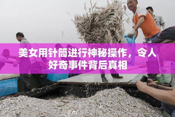 美女用针筒进行神秘操作，令人好奇事件背后真相