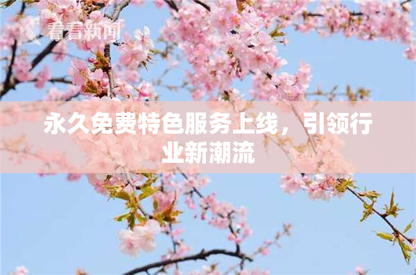 永久免费特色服务上线，引领行业新潮流