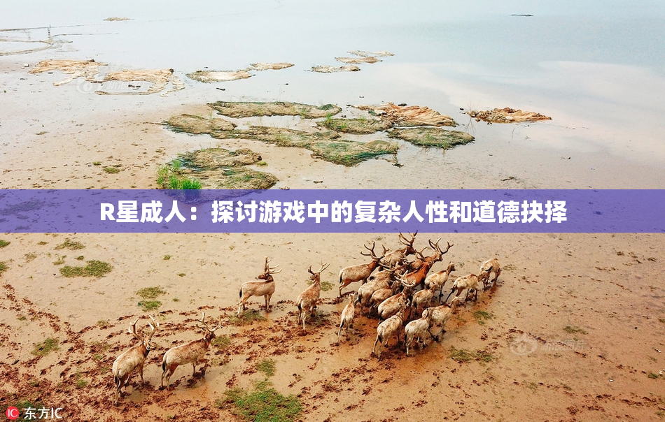 R星成人：探讨游戏中的复杂人性和道德抉择