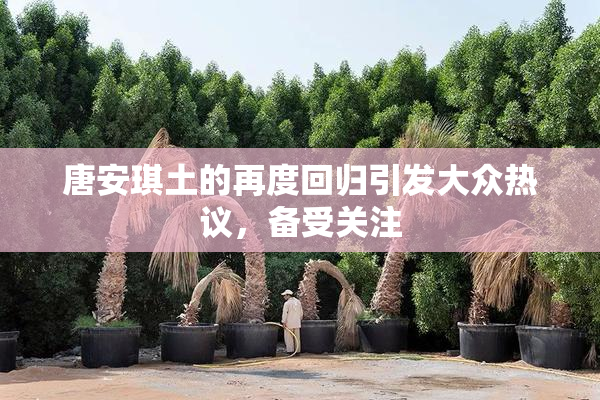 唐安琪土的再度回归引发大众热议，备受关注