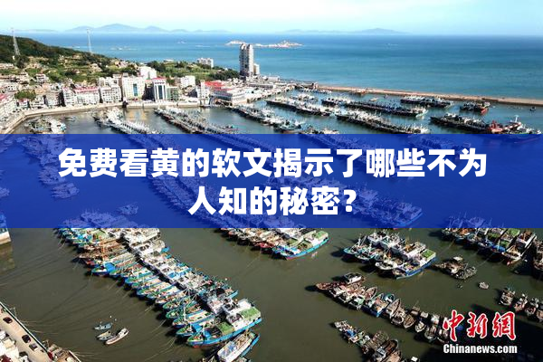 免费看黄的软文揭示了哪些不为人知的秘密？