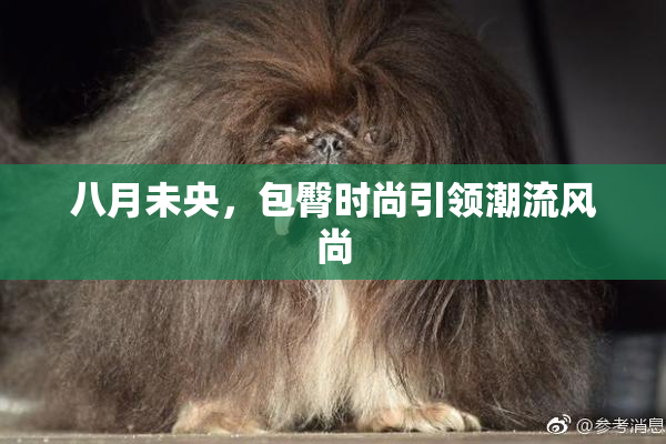 八月未央，包臀时尚引领潮流风尚