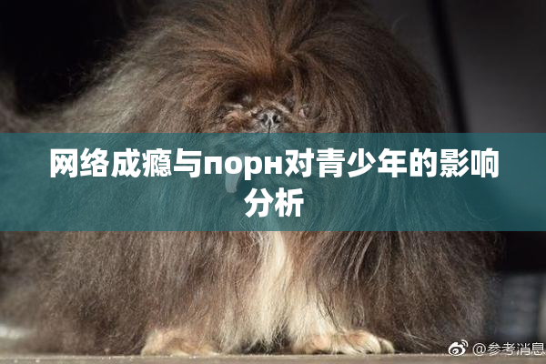 网络成瘾与порн对青少年的影响分析