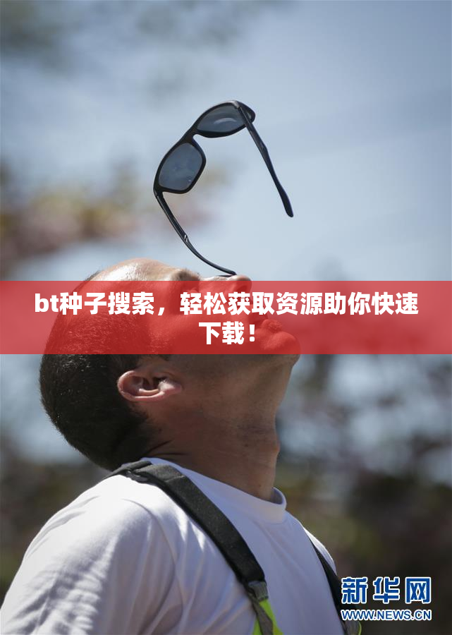 bt种子搜索，轻松获取资源助你快速下载！