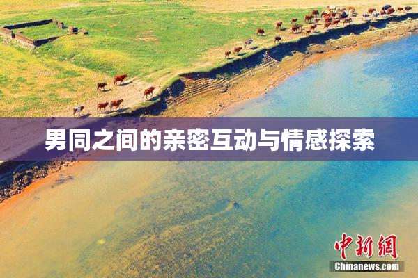 男同之间的亲密互动与情感探索