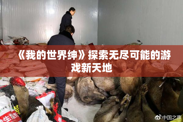 《我的世界绅》探索无尽可能的游戏新天地