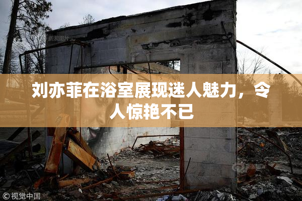 刘亦菲在浴室展现迷人魅力，令人惊艳不已