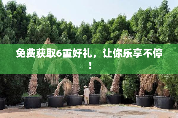 免费获取6重好礼，让你乐享不停！
