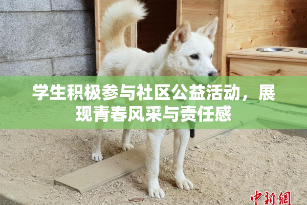 学生积极参与社区公益活动，展现青春风采与责任感