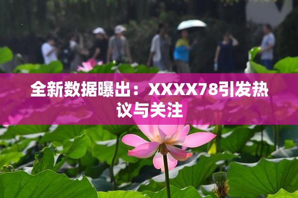 全新数据曝出：XXXX78引发热议与关注