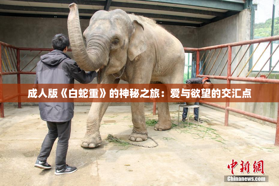成人版《白蛇重》的神秘之旅：爱与欲望的交汇点