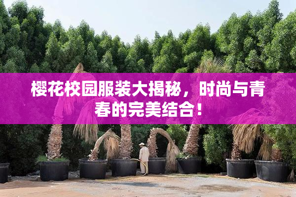 樱花校园服装大揭秘，时尚与青春的完美结合！