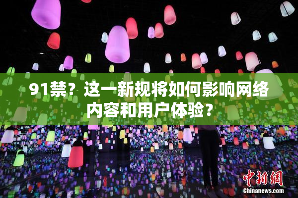91禁？这一新规将如何影响网络内容和用户体验？