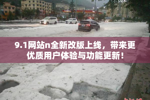 9.1网站n全新改版上线，带来更优质用户体验与功能更新！