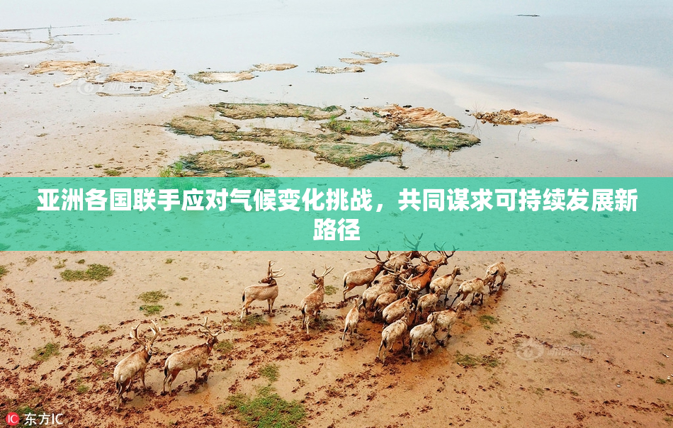 亚洲各国联手应对气候变化挑战，共同谋求可持续发展新路径
