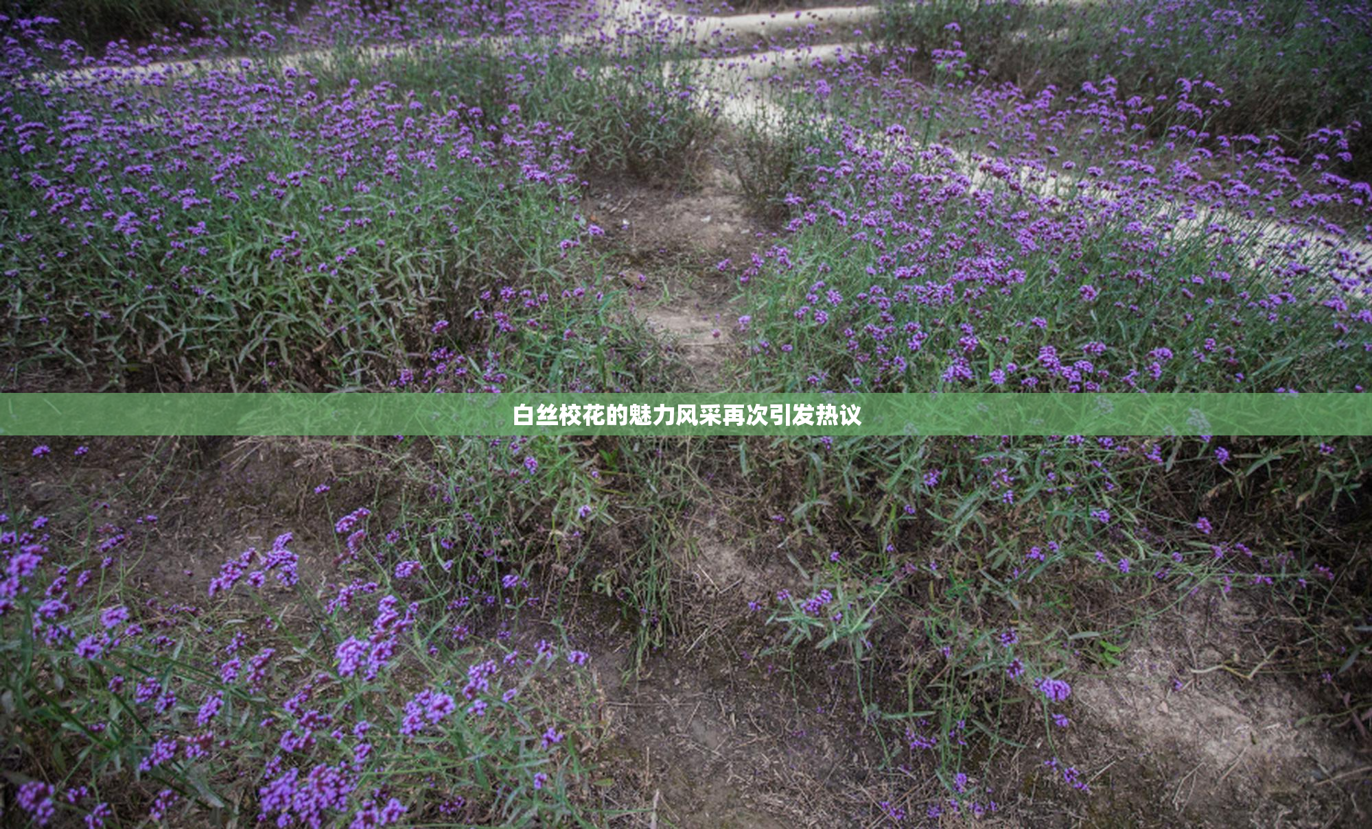 白丝校花的魅力风采再次引发热议