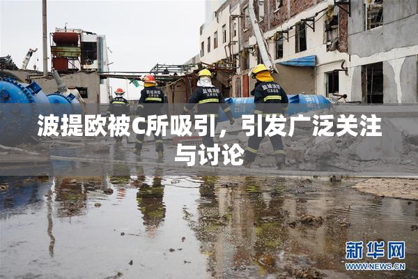 波提欧被C所吸引，引发广泛关注与讨论