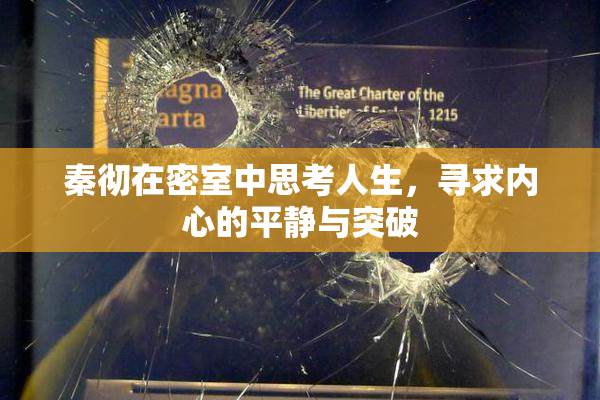 秦彻在密室中思考人生，寻求内心的平静与突破