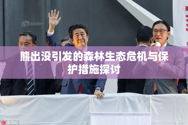 熊出没引发的森林生态危机与保护措施探讨