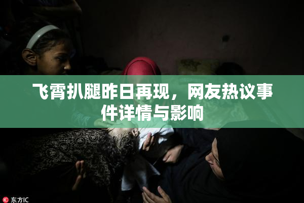 飞霄扒腿昨日再现，网友热议事件详情与影响