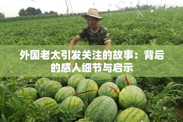 外国老太引发关注的故事：背后的感人细节与启示