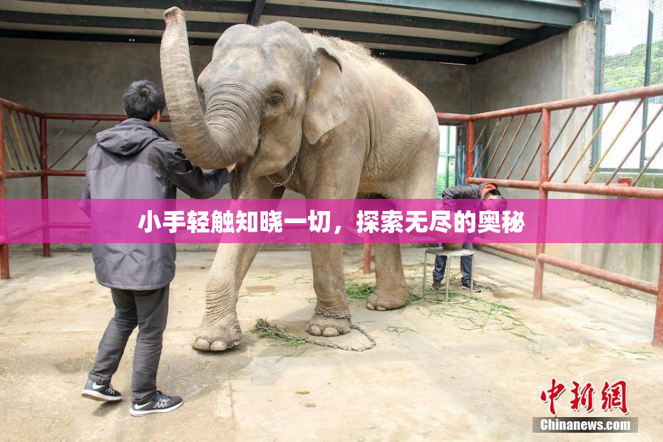 小手轻触知晓一切，探索无尽的奥秘