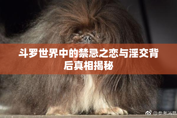 斗罗世界中的禁忌之恋与淫交背后真相揭秘