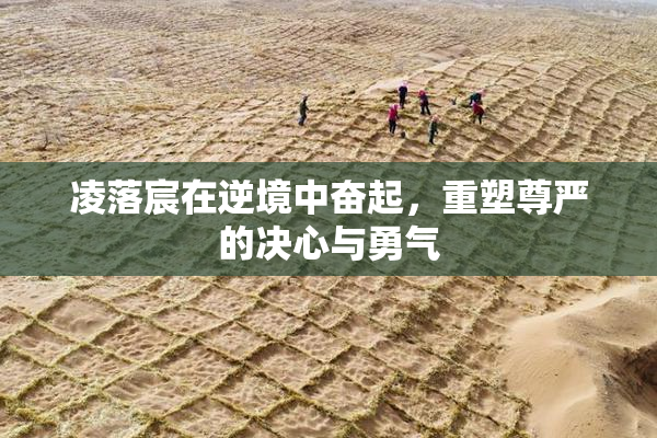 凌落宸在逆境中奋起，重塑尊严的决心与勇气