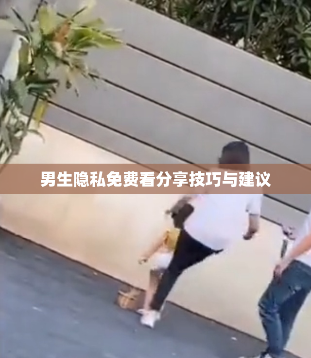 男生隐私免费看分享技巧与建议