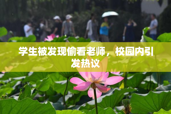 学生被发现偷看老师，校园内引发热议
