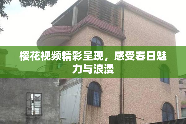 樱花视频精彩呈现，感受春日魅力与浪漫