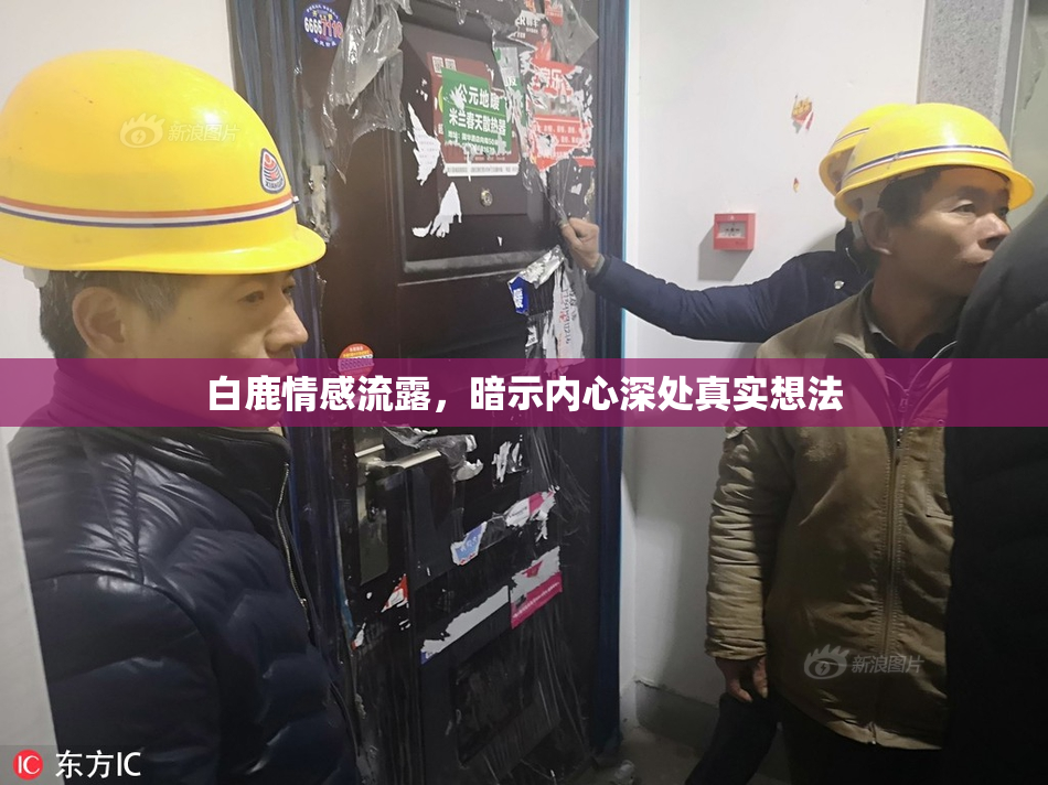 白鹿情感流露，暗示内心深处真实想法