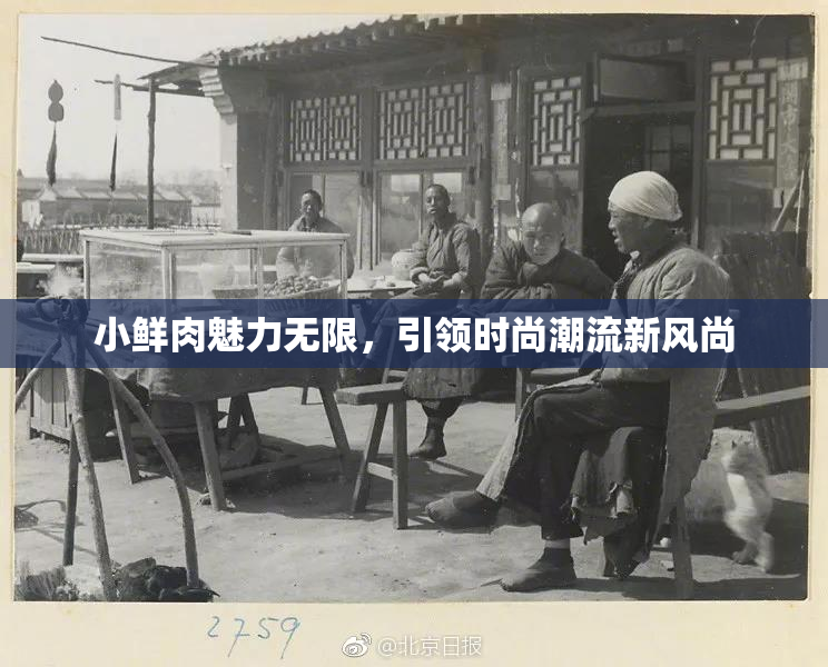 小鲜肉魅力无限，引领时尚潮流新风尚