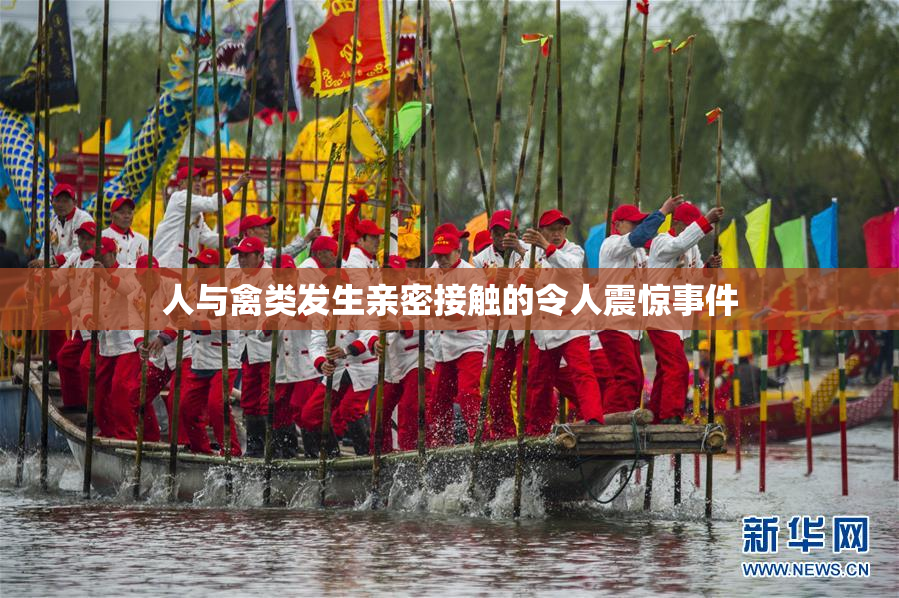 人与禽类发生亲密接触的令人震惊事件